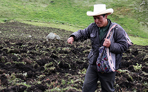 FONCREAGRO - Promoción del empleo 2